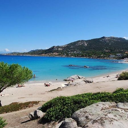 L'Orangeraie Calvi Centre A 300M De La Plage Et Du Port Parking Prive Zewnętrze zdjęcie