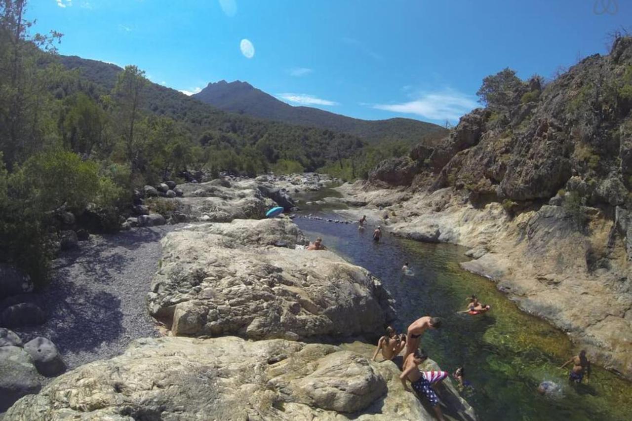 L'Orangeraie Calvi Centre A 300M De La Plage Et Du Port Parking Prive Zewnętrze zdjęcie