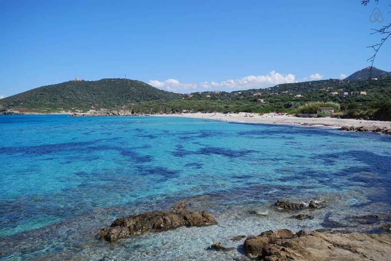 L'Orangeraie Calvi Centre A 300M De La Plage Et Du Port Parking Prive Zewnętrze zdjęcie