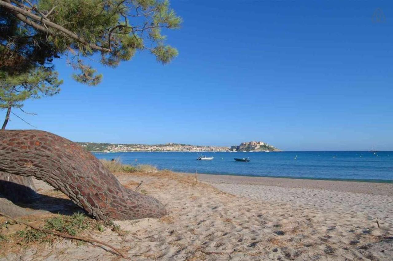 L'Orangeraie Calvi Centre A 300M De La Plage Et Du Port Parking Prive Zewnętrze zdjęcie