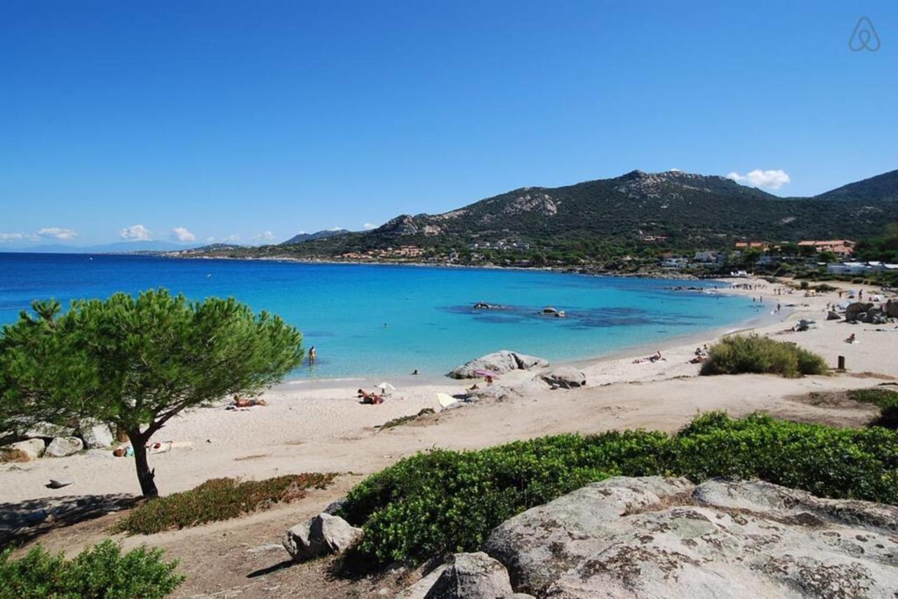 L'Orangeraie Calvi Centre A 300M De La Plage Et Du Port Parking Prive Zewnętrze zdjęcie